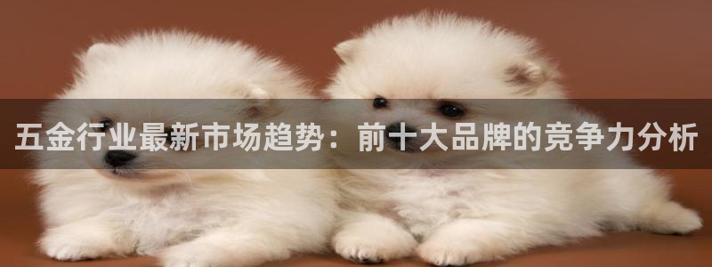 天宏娱乐g OO判官