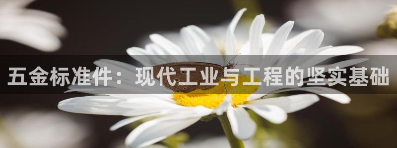 天宏娱乐直播间