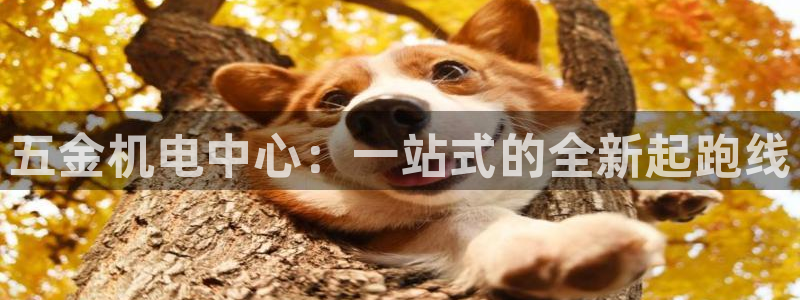 西安天宏娱乐团在哪