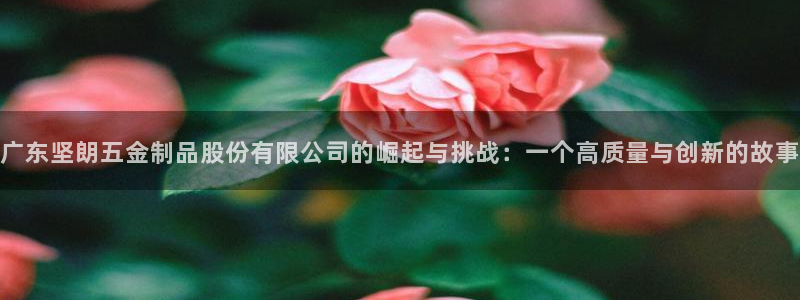 天宏娱乐直播间在哪