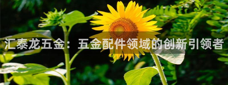 西安天宏娱乐会所电话