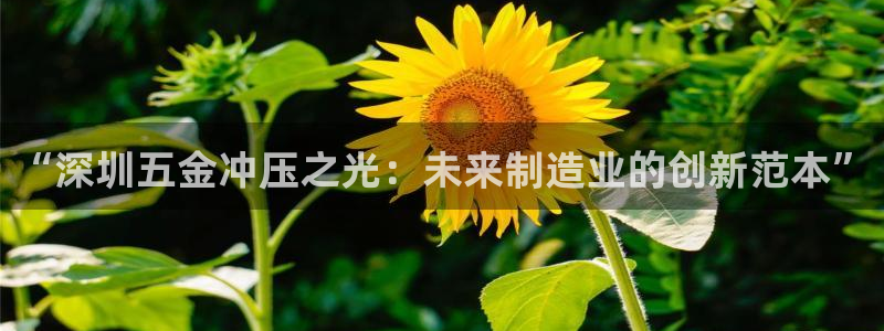 天宏娱乐会所地址