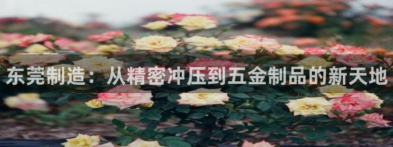 临沂天宏娱乐会所电话地址