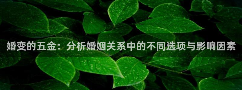 天宏娱乐何33300