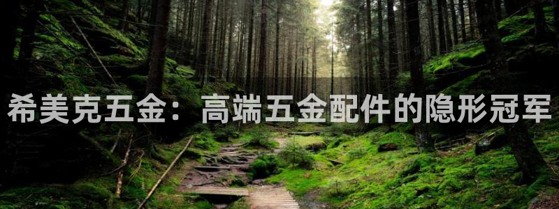 天宏娱乐岁月悠然