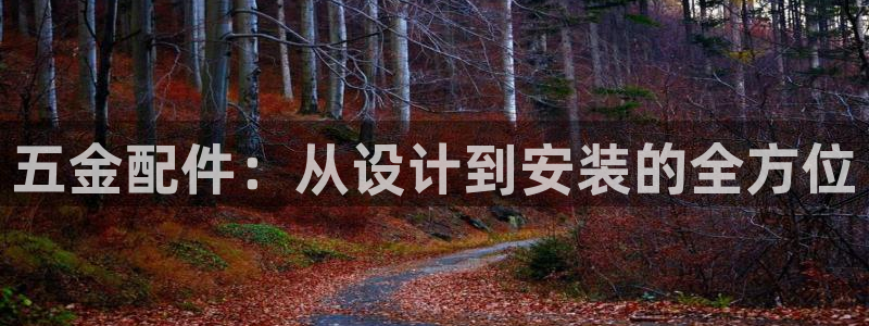 天宏娱乐董叔