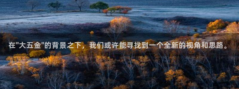 天宏娱乐平叔