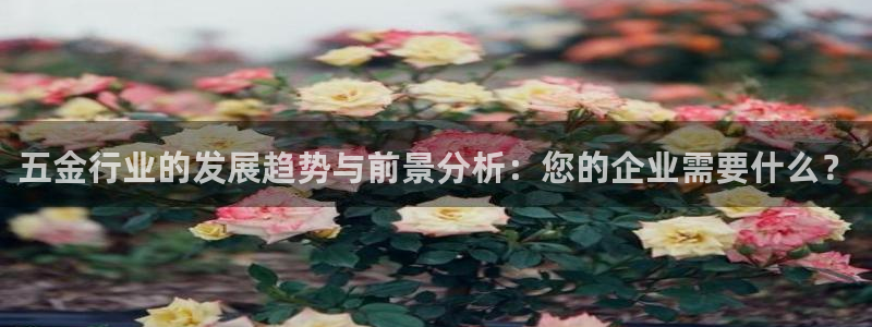 天宏3娱乐