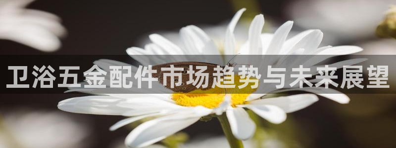 天宏娱乐 22376实e力