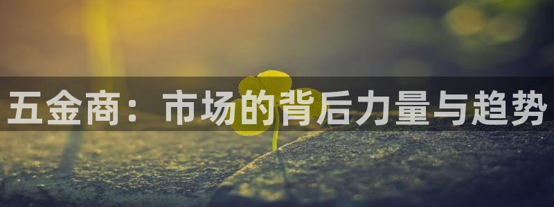 天宏娱乐招商部电话