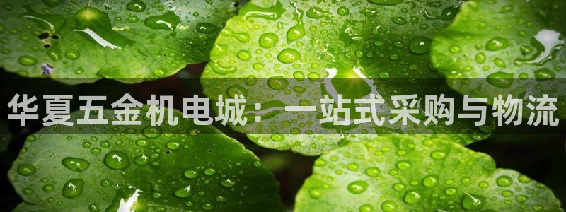 天宏娱乐吴皇