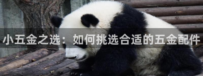 宏天娱乐说