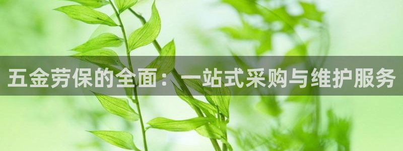 天宏娱乐管a事443593