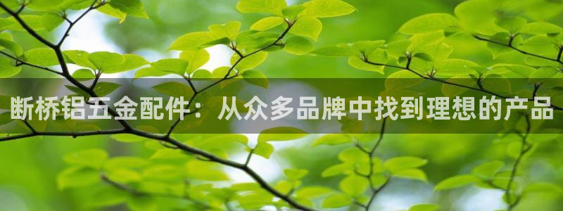 天宏娱乐林叔