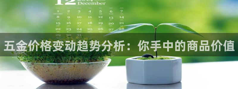 天宏娱乐大叔团队介绍