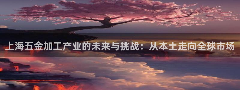 天宏娱乐a OO判官
