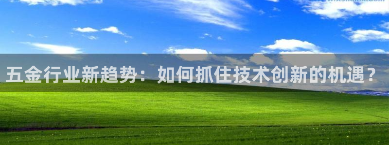 天宏娱乐集团董事长
