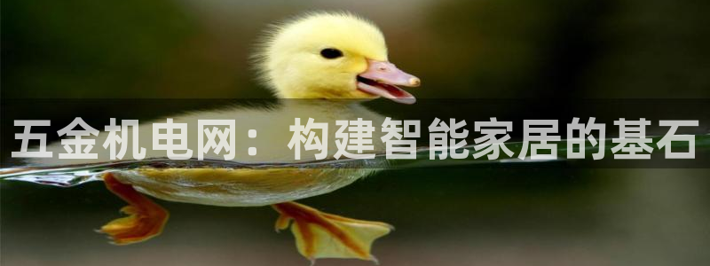 天宏娱乐正在直播