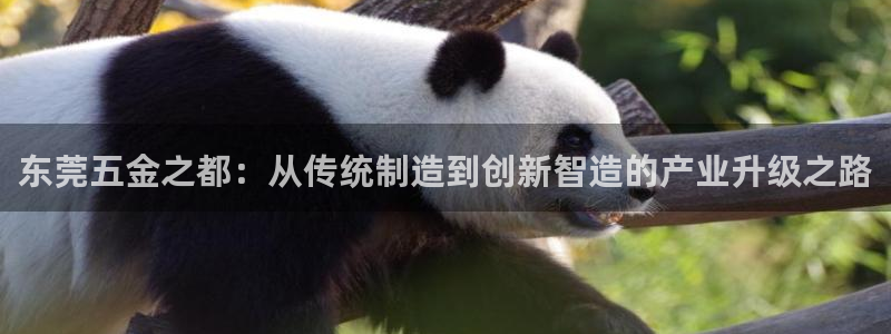 天亿娱乐宏发骗子