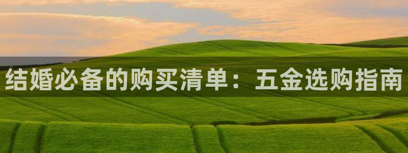 天宏娱乐团队