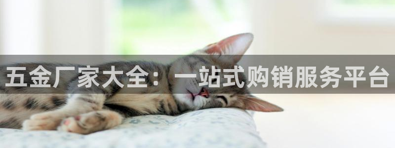 天宏娱乐登陆