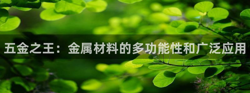 天宏娱乐涛涛