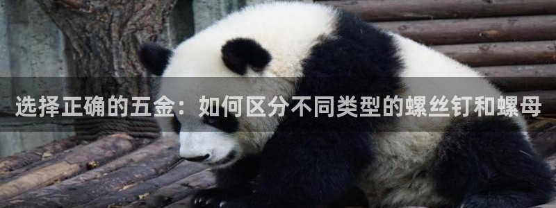 天宏娱乐大叔