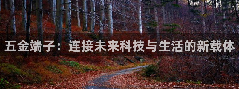 天宏娱乐3