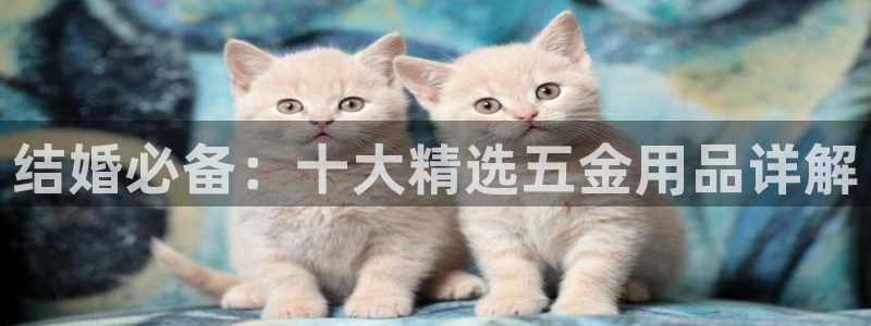 西安天宏娱乐直播间