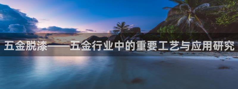 天宏娱乐董事长简历