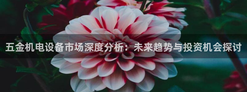 常平天宏娱乐会所地址