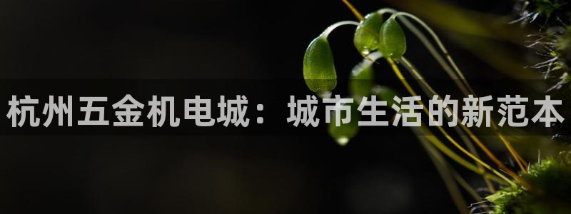 天宏娱乐大叔团队介绍视频