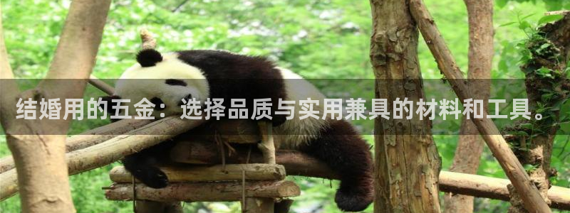西安天宏娱乐团在哪