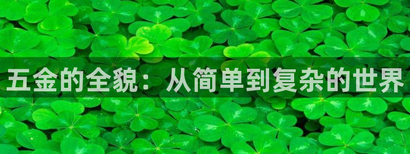 天宏娱乐k 判官