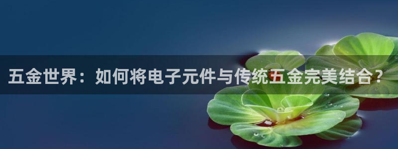 天宏娱乐林叔