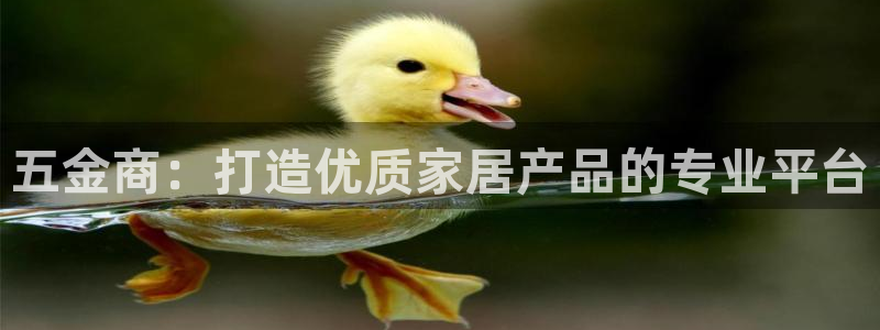 天宏娱乐钟叔