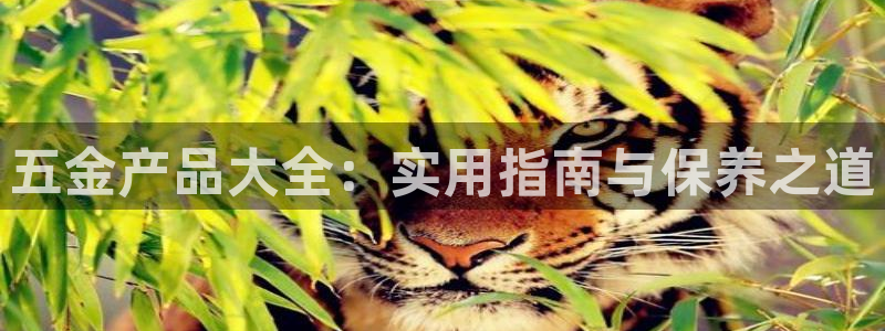 天宏娱乐河源店