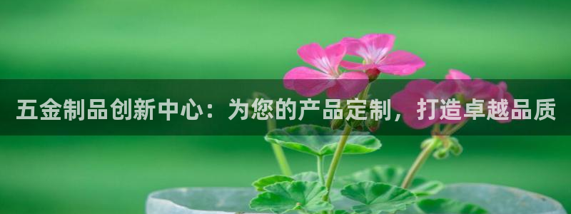 天宏娱乐老板朱俊伟